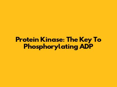 Protein Kinase: The Key To Phosphorylating ADP