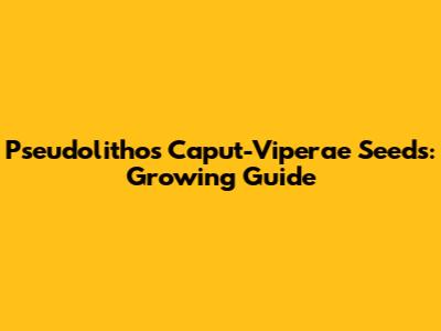 Pseudolithos Caput-Viperae Seeds: Growing Guide
