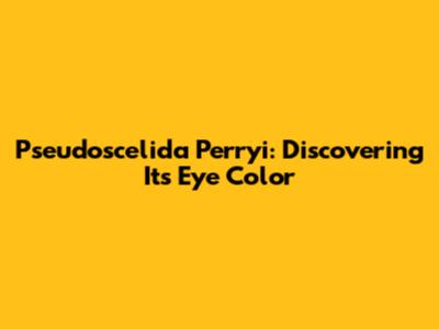 Pseudoscelida Perryi: Discovering Its Eye Color