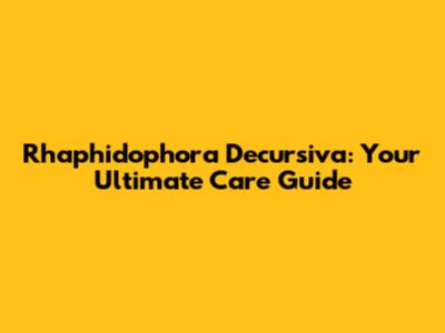 Rhaphidophora Decursiva: Your Ultimate Care Guide
