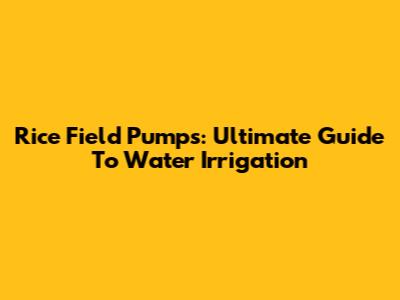 Rice Field Pumps: Ultimate Guide To Water Irrigation