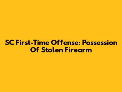 SC First-Time Offense: Possession Of Stolen Firearm