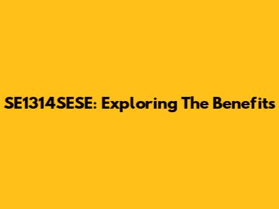 SE1314SESE: Exploring The Benefits