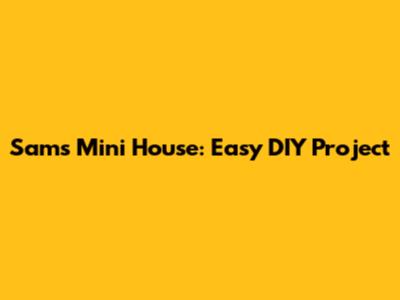 Sam's Mini House: Easy DIY Project