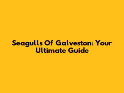 Seagulls Of Galveston: Your Ultimate Guide