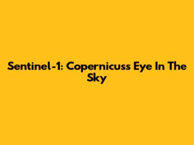 Sentinel-1: Copernicus's Eye In The Sky