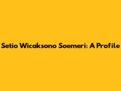 Setio Wicaksono Soemeri: A Profile