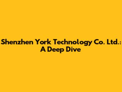 Shenzhen York Technology Co. Ltd.: A Deep Dive