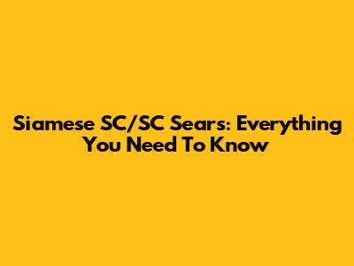 Siamese SC/SC Sears: Everything You Need To Know