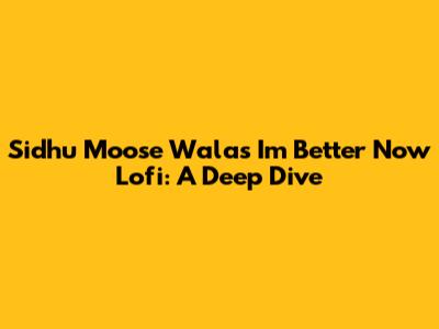 Sidhu Moose Wala's 'I'm Better Now' Lofi: A Deep Dive