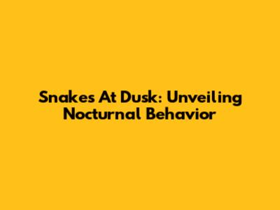 Snakes At Dusk: Unveiling Nocturnal Behavior