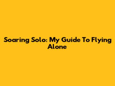 Soaring Solo: My Guide To Flying Alone