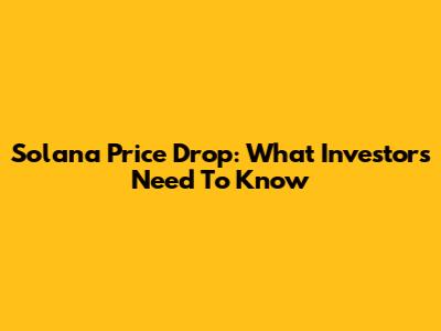 Solana Price Drop: What Investors Need To Know