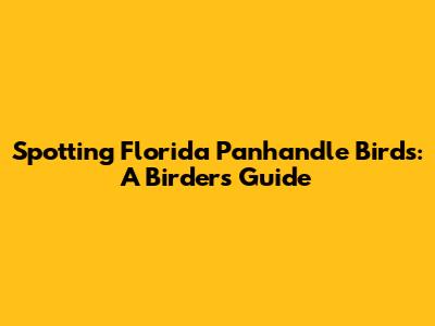 Spotting Florida Panhandle Birds: A Birder's Guide