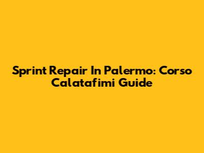 Sprint Repair In Palermo: Corso Calatafimi Guide
