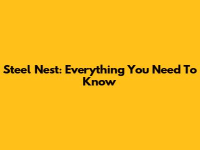 Steel Nest: Everything You Need To Know