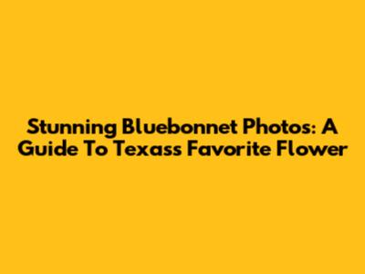 Stunning Bluebonnet Photos: A Guide To Texas's Favorite Flower