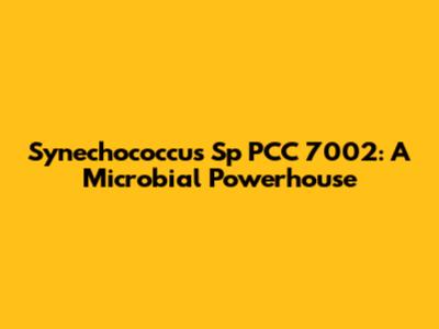Synechococcus Sp PCC 7002: A Microbial Powerhouse