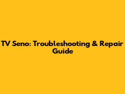 TV Seno: Troubleshooting & Repair Guide