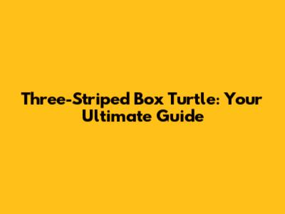 Three-Striped Box Turtle: Your Ultimate Guide