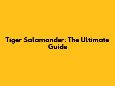 Tiger Salamander: The Ultimate Guide