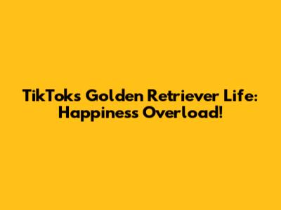 TikTok's Golden Retriever Life: Happiness Overload!