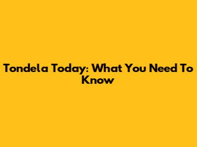 Tondela Today: What You Need To Know
