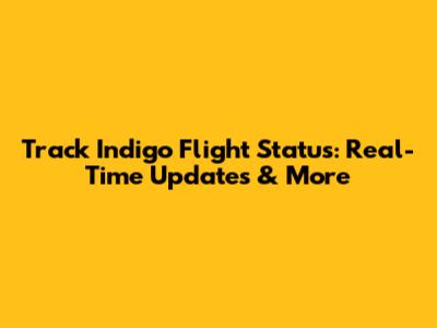Track Indigo Flight Status: Real-Time Updates & More