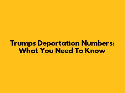 Trump's Deportation Numbers: What You Need To Know