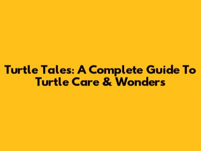 Turtle Tales: A Complete Guide To Turtle Care & Wonders