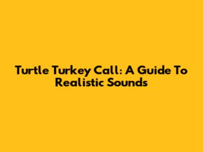 Turtle Turkey Call: A Guide To Realistic Sounds