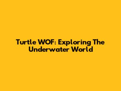 Turtle WOF: Exploring The Underwater World