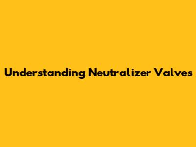 Understanding Neutralizer Valves