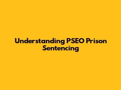 Understanding PSEO Prison Sentencing