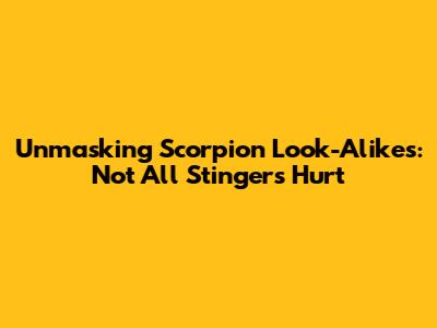 Unmasking Scorpion Look-Alikes: Not All Stingers Hurt