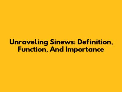 Unraveling Sinews: Definition, Function, And Importance