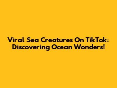Viral Sea Creatures On TikTok: Discovering Ocean Wonders!