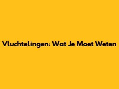 Vluchtelingen: Wat Je Moet Weten