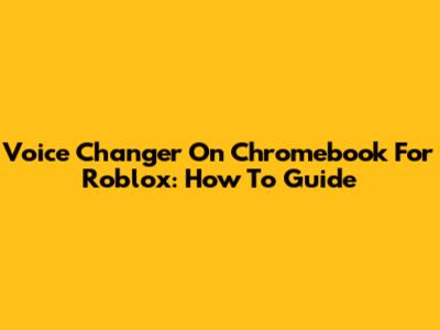 Voice Changer On Chromebook For Roblox: How To Guide