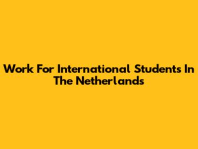 Work For International Students In The Netherlands