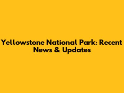 Yellowstone National Park: Recent News & Updates