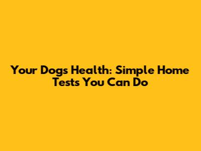Your Dog's Health: Simple Home Tests You Can Do