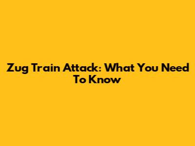 Zug Train Attack: What You Need To Know
